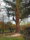 Cestrian Tree Care