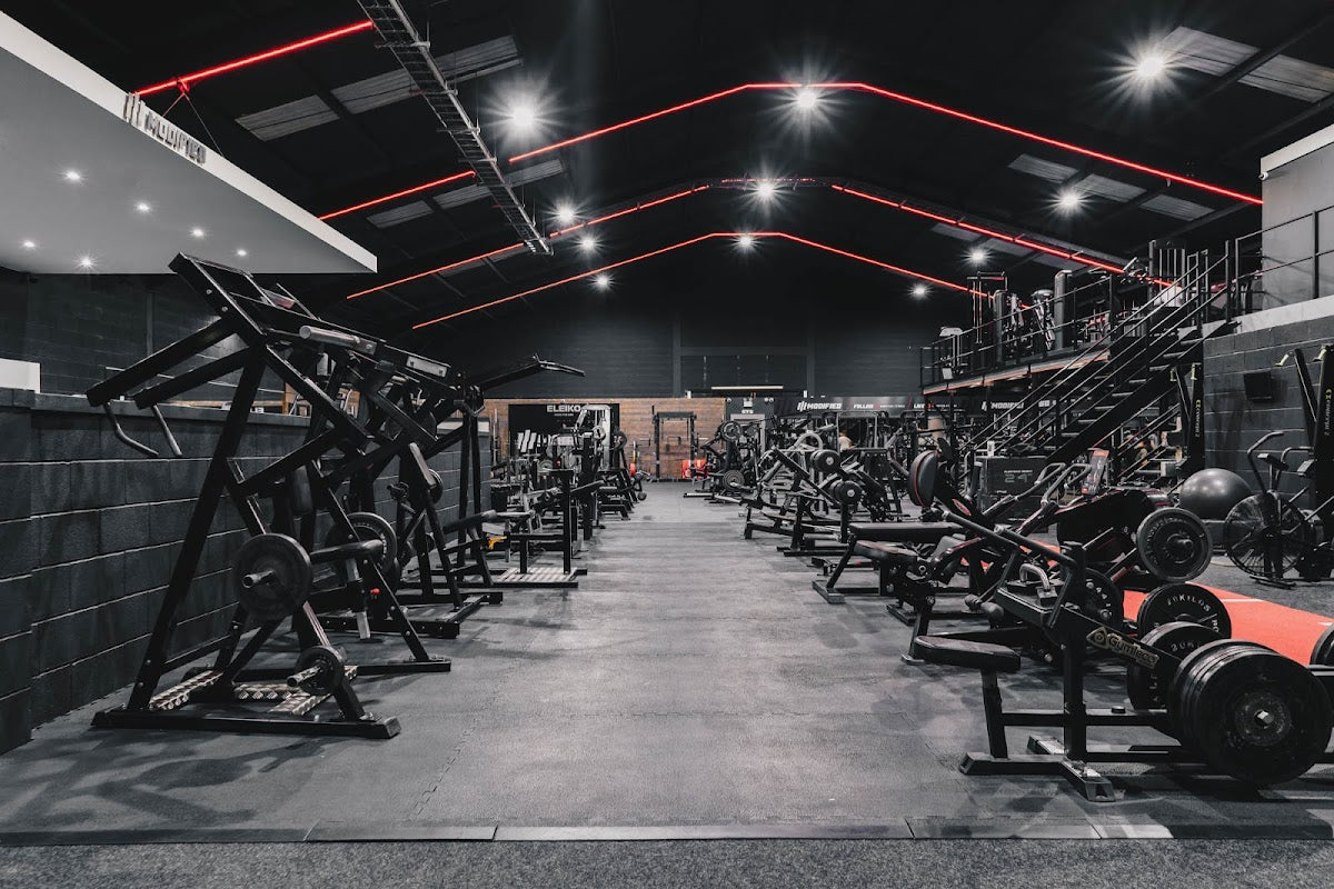 Modified Fitness