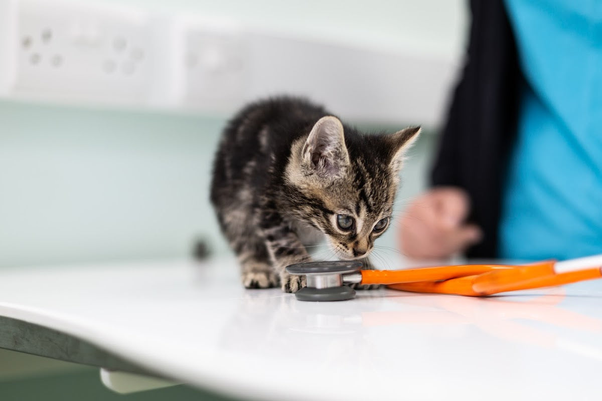 Green Lane Veterinary Centre