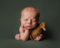 Little Primrose Photography