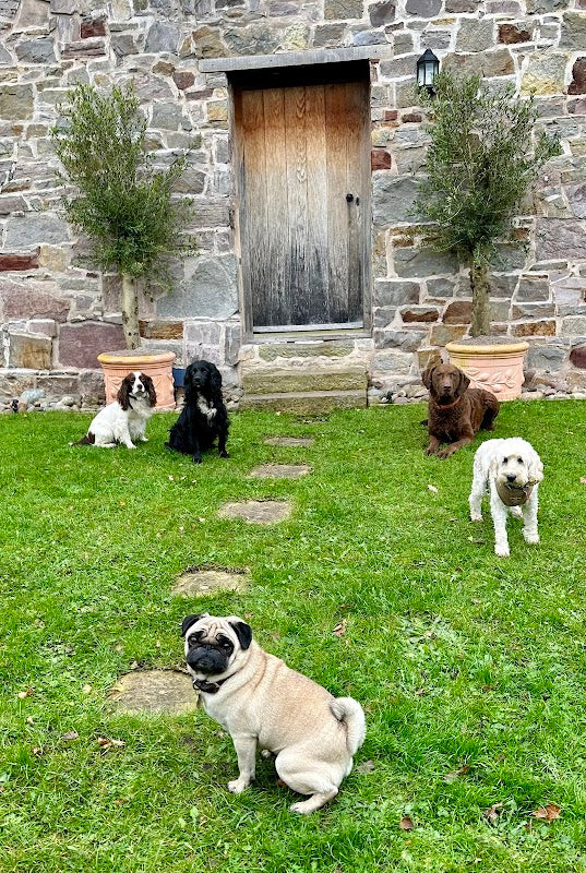 Daleside Vets
