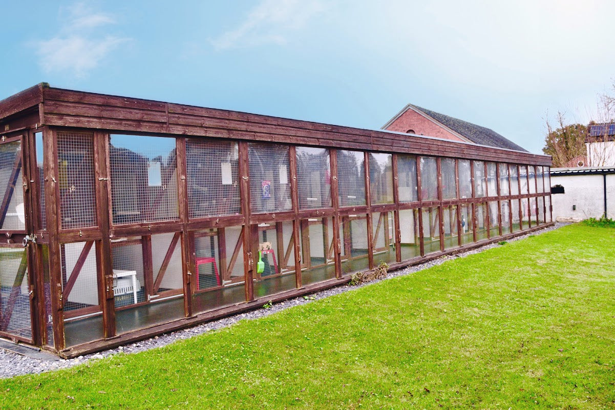 Lakeside Luxury Cattery