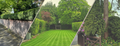 Strands Gardens