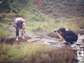 Nurtured With Love Photography