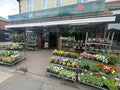 Hayes the Florist - Frenchic Paint Stockists