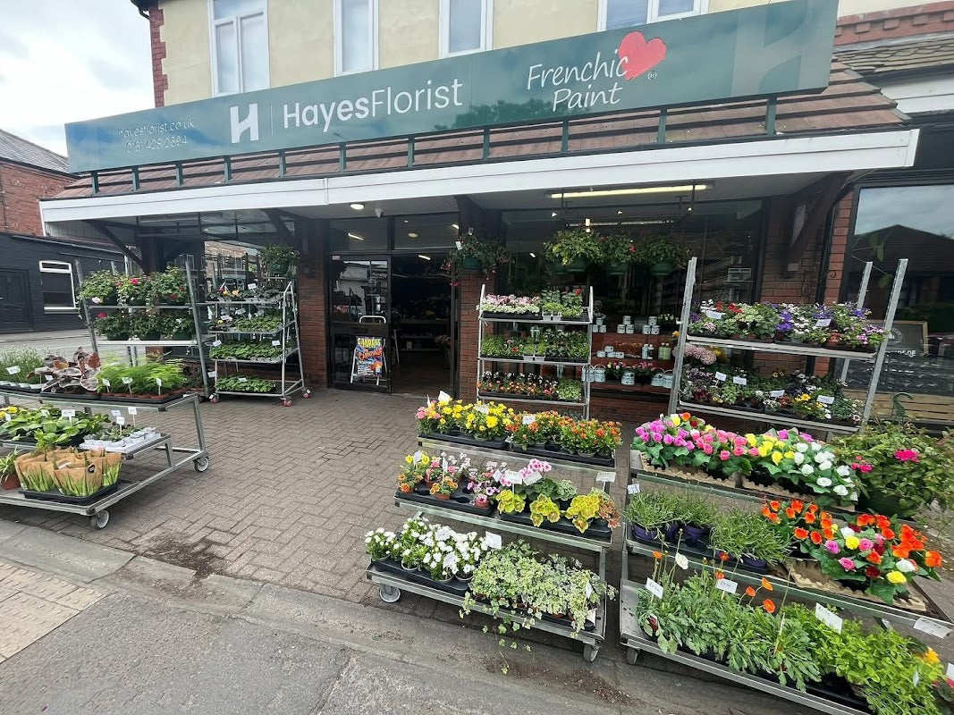 Hayes the Florist - Frenchic Paint Stockists