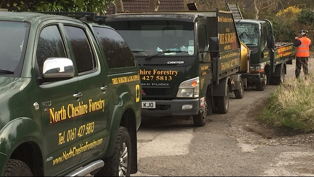 North Cheshire Forestry Tree Surgeons Stockport Stump Removal