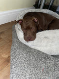 Bark Busters Dog Training Manchester South