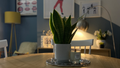Harrisons interiors