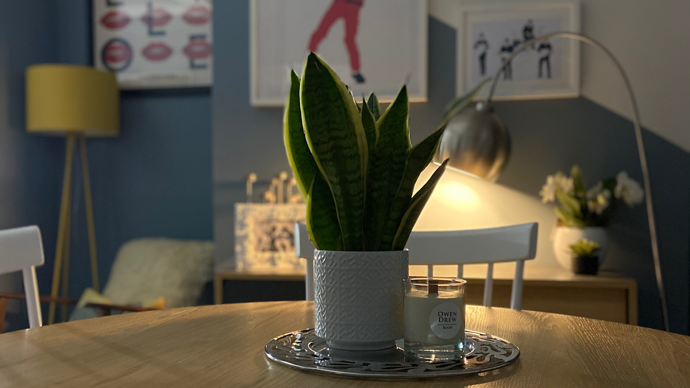 Harrisons interiors