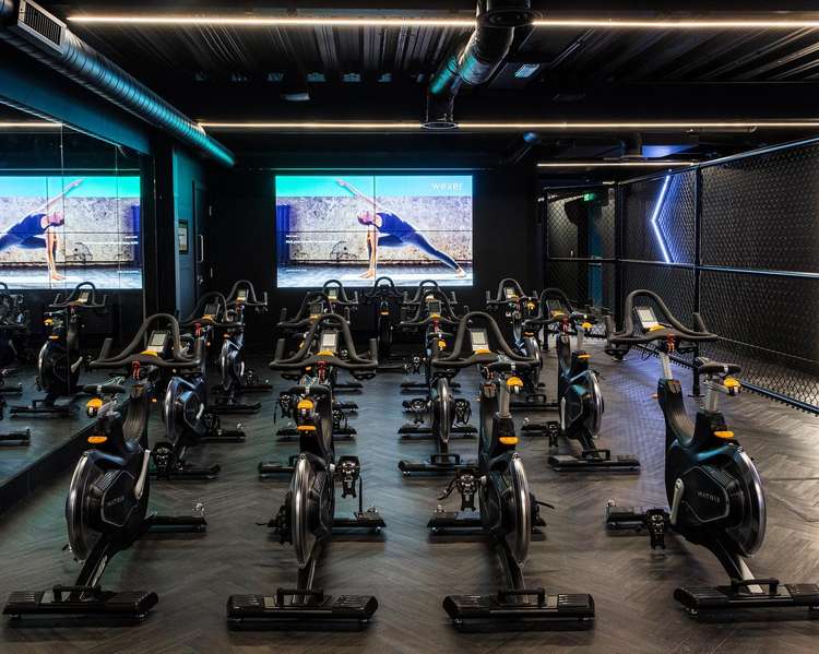 Stealth Gymnasium