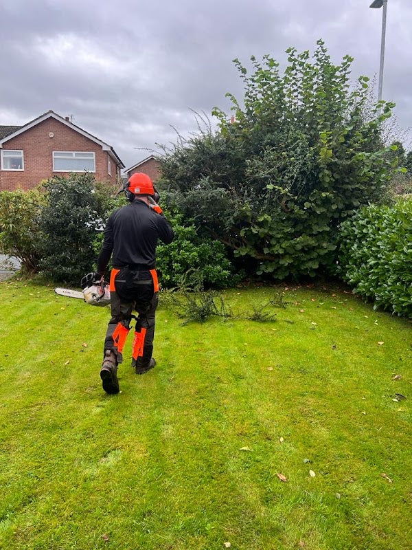 Greenscapes Tree Services Specialists