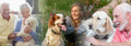PetStay Chester and the Wirral