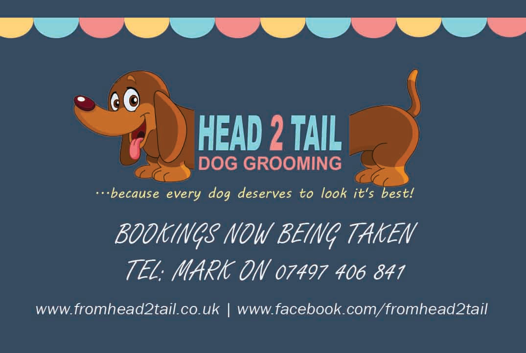 Head 2 Tail Dog Grooming