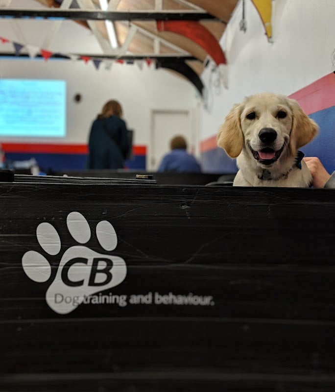 CB Dogs - Dog and Puppy Training Classes