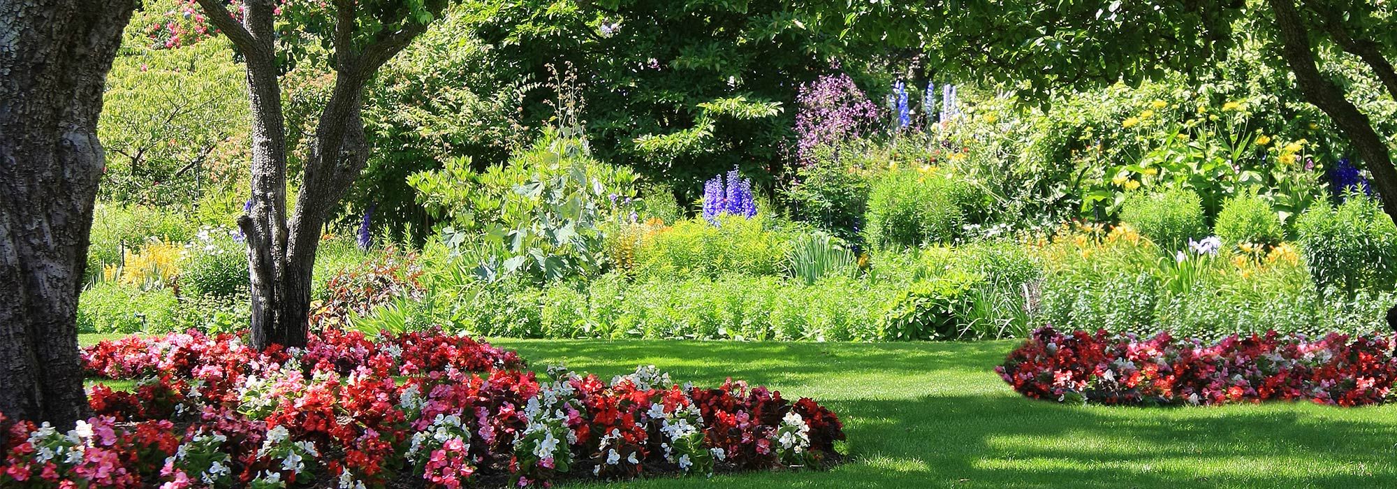Jon's Gardening Services