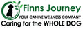 Finns Journey