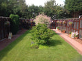 Cuddington Boarding Cattery
