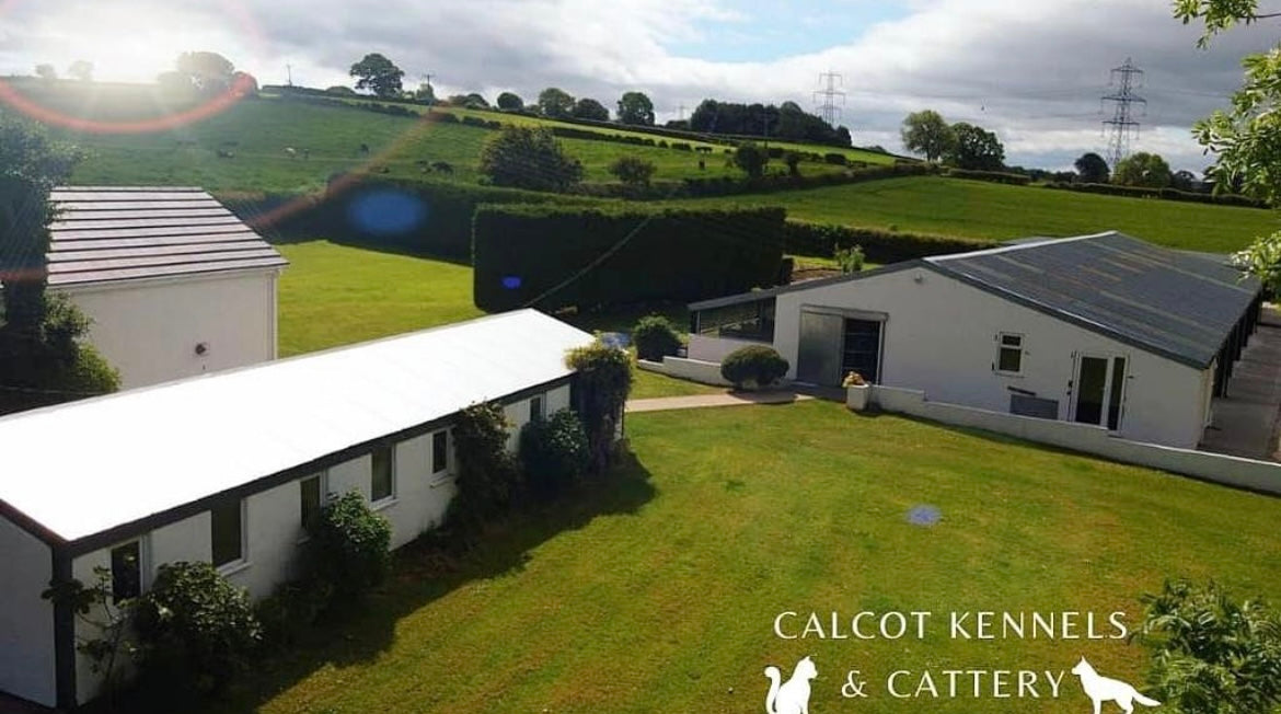 Calcot Kennels & Cattery