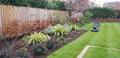 Parker's garden maintenance
