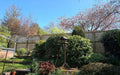Bollington Tree Surgery & Fencing Ltd | Macclesfield | Wilmslow | Cheshire