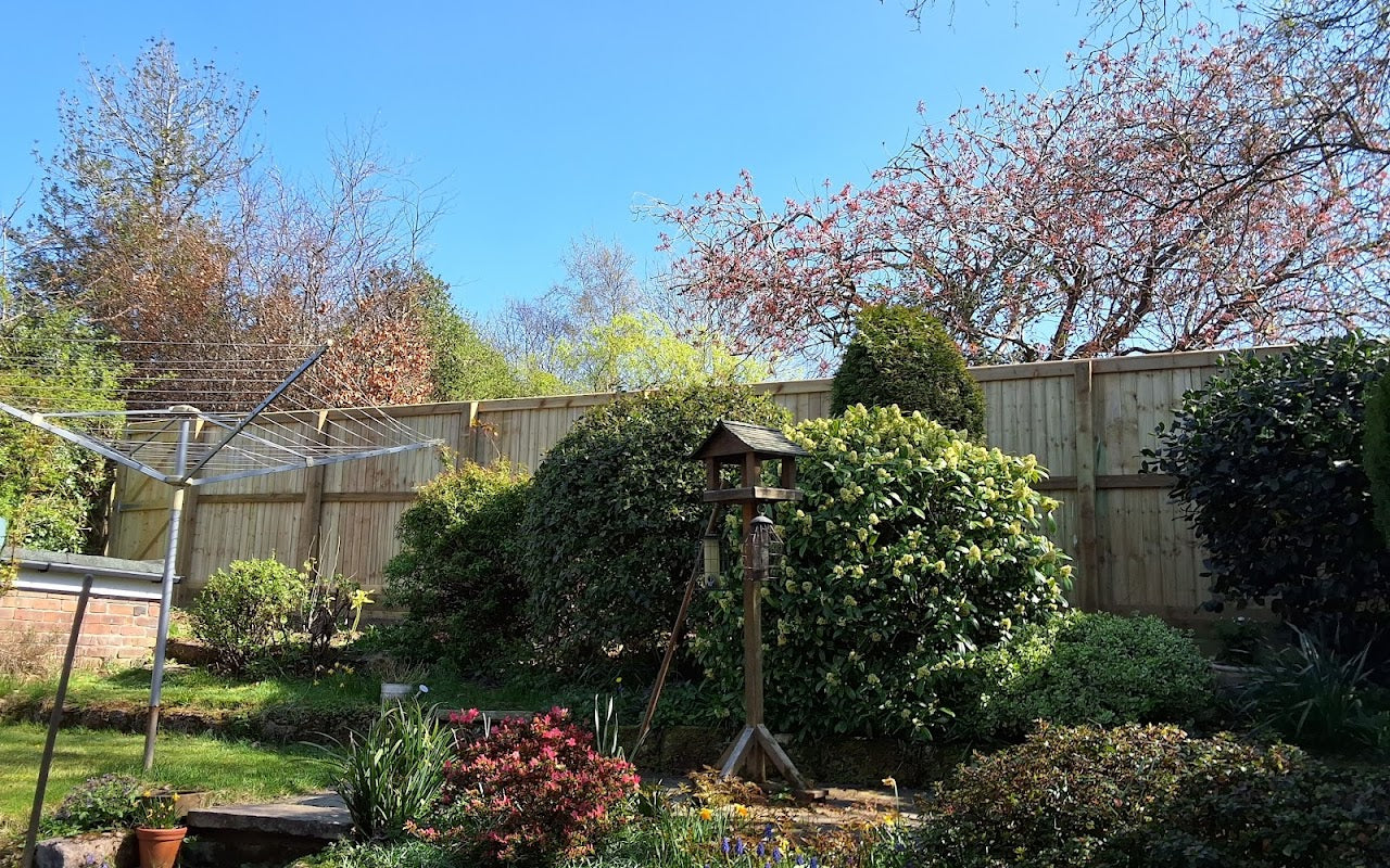 Bollington Tree Surgery & Fencing Ltd | Macclesfield | Wilmslow | Cheshire