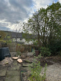 Macclesfield Tree Care