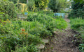 Manley Road Copse