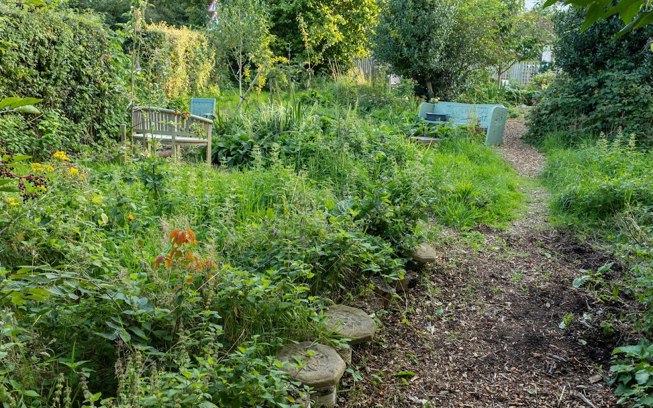 Manley Road Copse