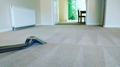 The Carpet Cleaning Company