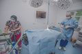 Oakwood Veterinary Referrals