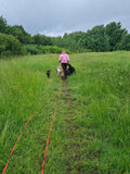 Sophie Mae Dog Walking Services