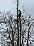 Heard Tree Services