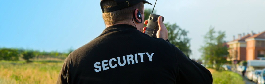 Falcon Security