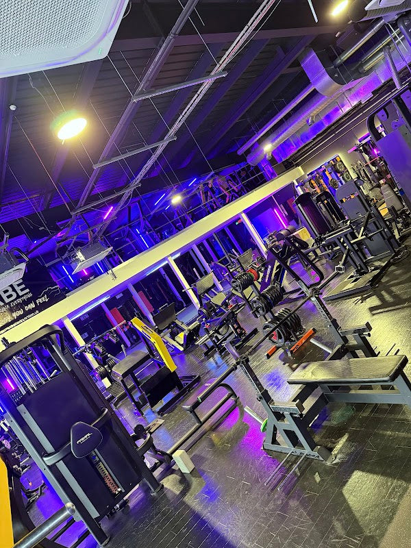 iQ Fitness