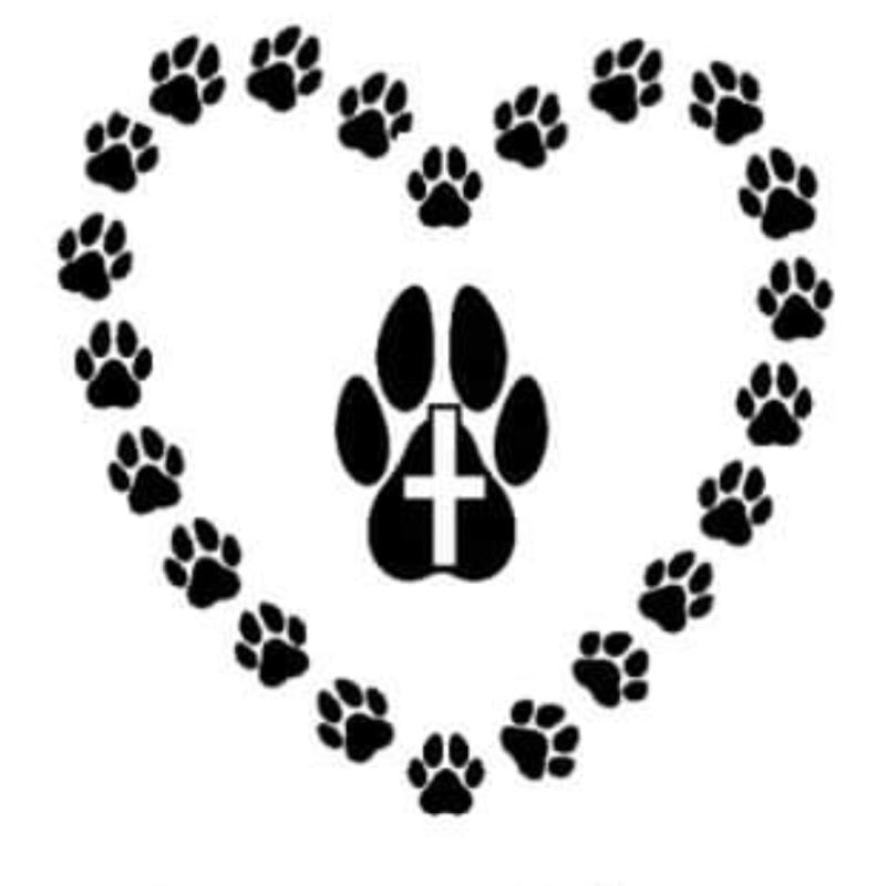 Paws Plus | Dog Walker and Pet Sitting | Macclesfield Cheshire