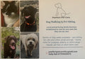 Pawfect Pet Care Cheshire East