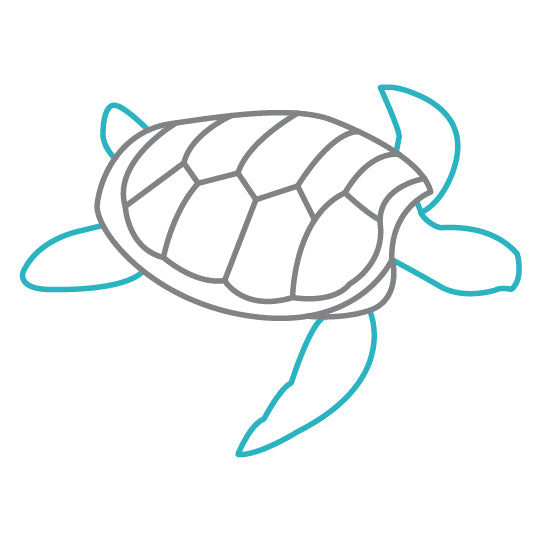 Greyturtle