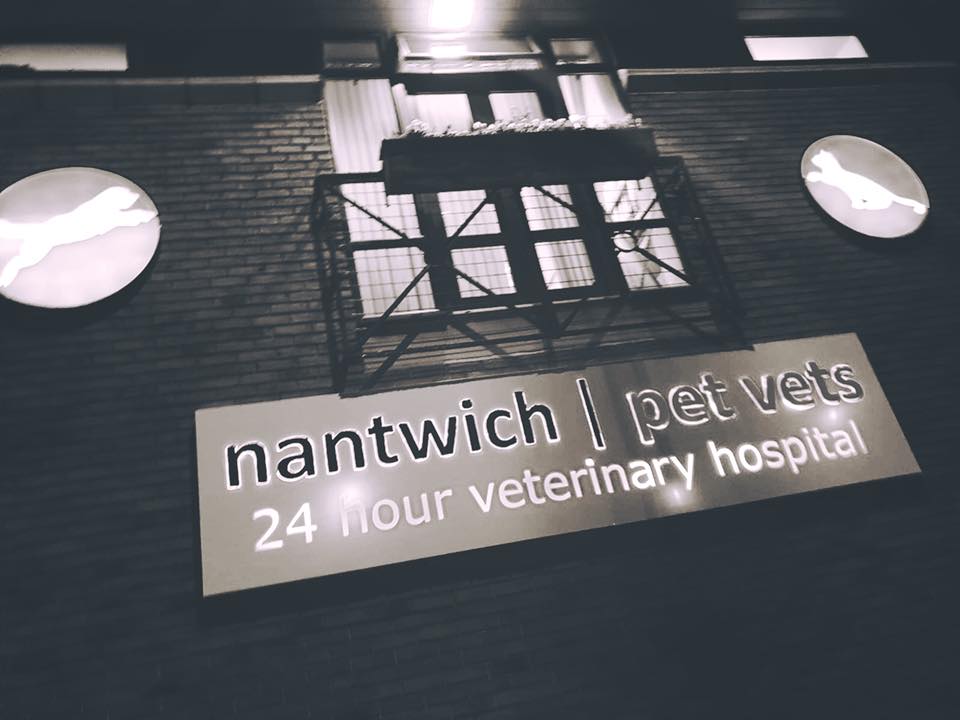 Medivet 24 Hour Nantwich - Nantwich Pet Vets