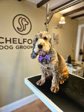 Chelford Dog Grooming