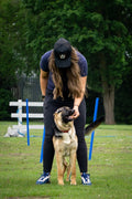 Alpha b dog training