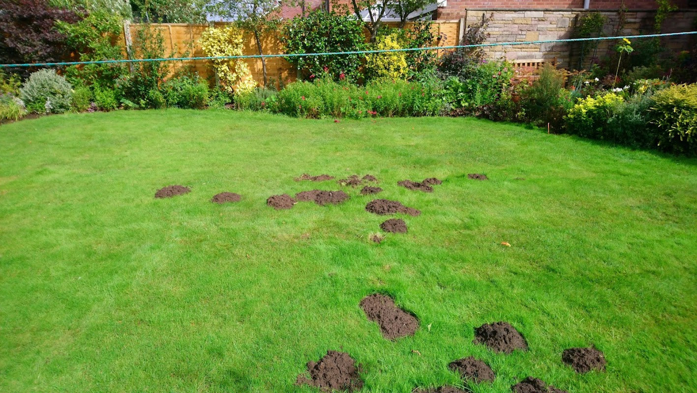 Country Solutions Pest Control Stockport