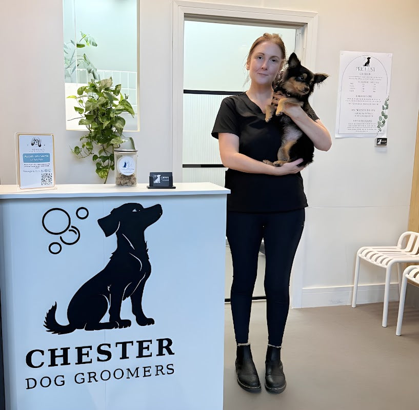 Chester Dog Groomers
