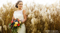 Peter Wynne Photography