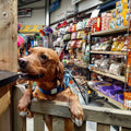 Barnyard Pet & Equestrian Supplies