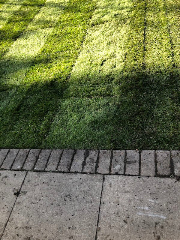 Greenscape Gardeners