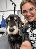 Groomingtails Dog Spa and Groom School