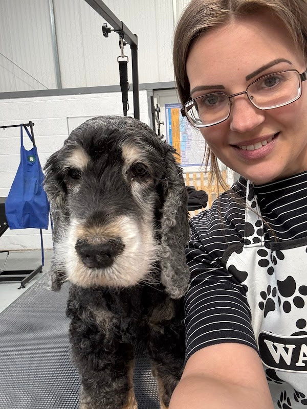 Groomingtails Dog Spa and Groom School