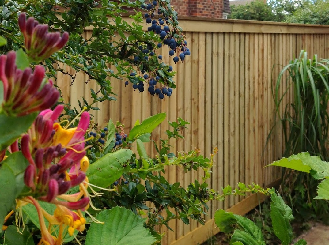 Just Fencing Cheshire