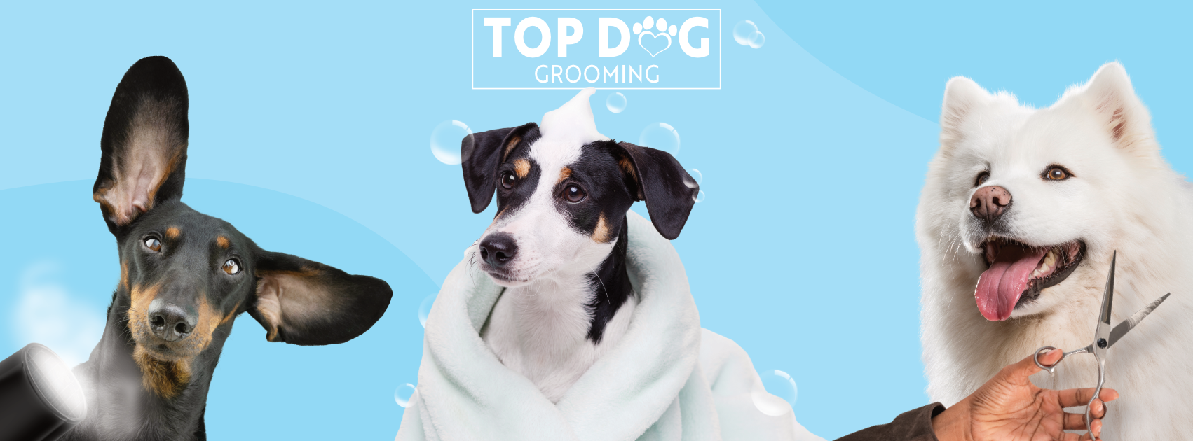 Top Dog Grooming
